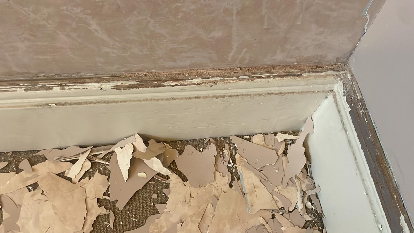 Repair - Interior, Sanding