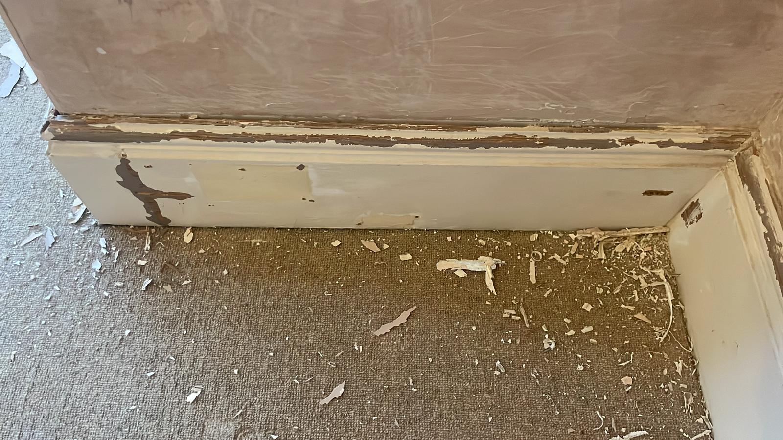 Repair - Interior