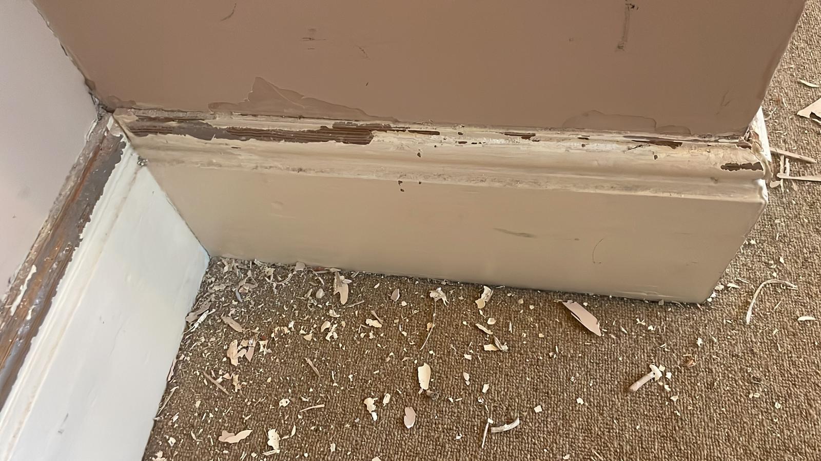 Repair - Interior, Sanding