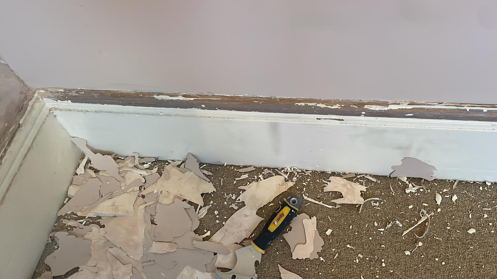 Repair - Interior