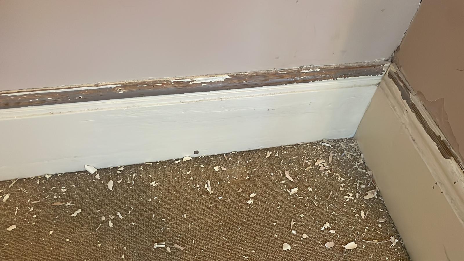 Repair - Interior, Sanding